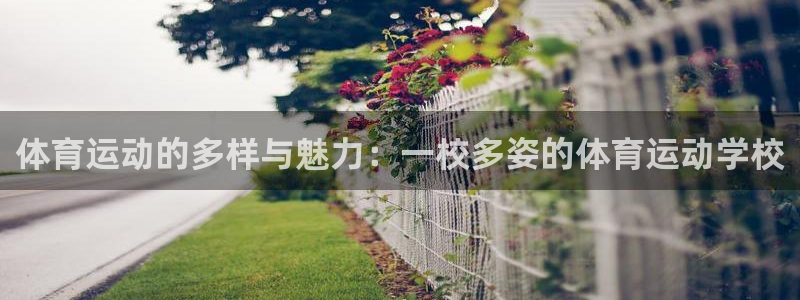 意昂4官网入口