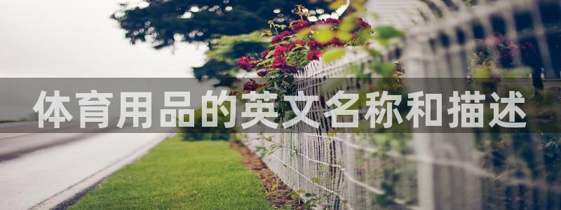 意昂4主管