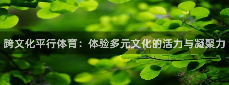 意昂4电子有限公司