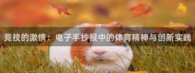 意昂45招商