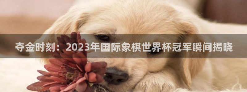 意昂42代理注册