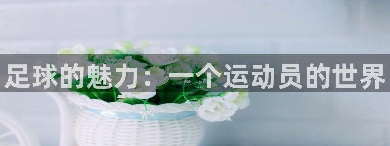 意昂42登录