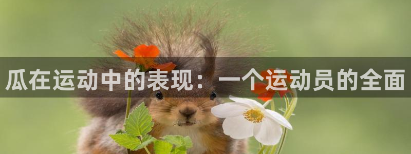 www.意昂4体育.com