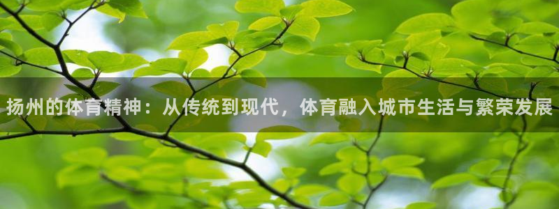 意昂42体育
