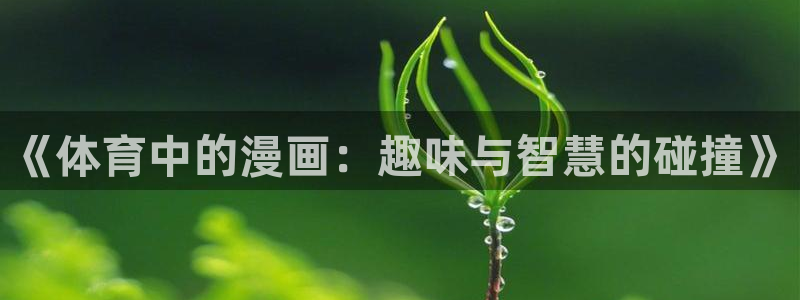成都意昂4电子有限公司