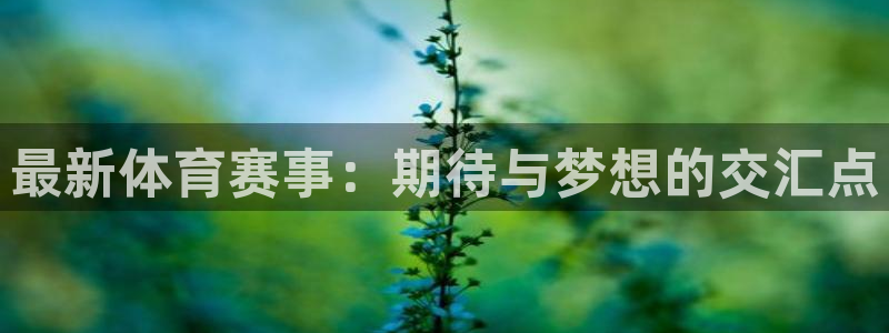 意昂4凯捷平台