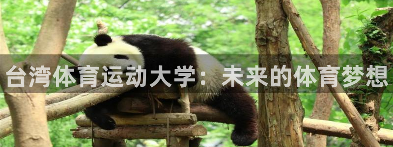 意昂4注册